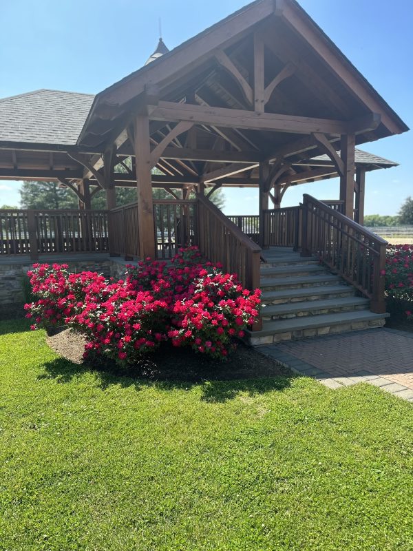 The covered viewing gazebo beside the outdoor arena
